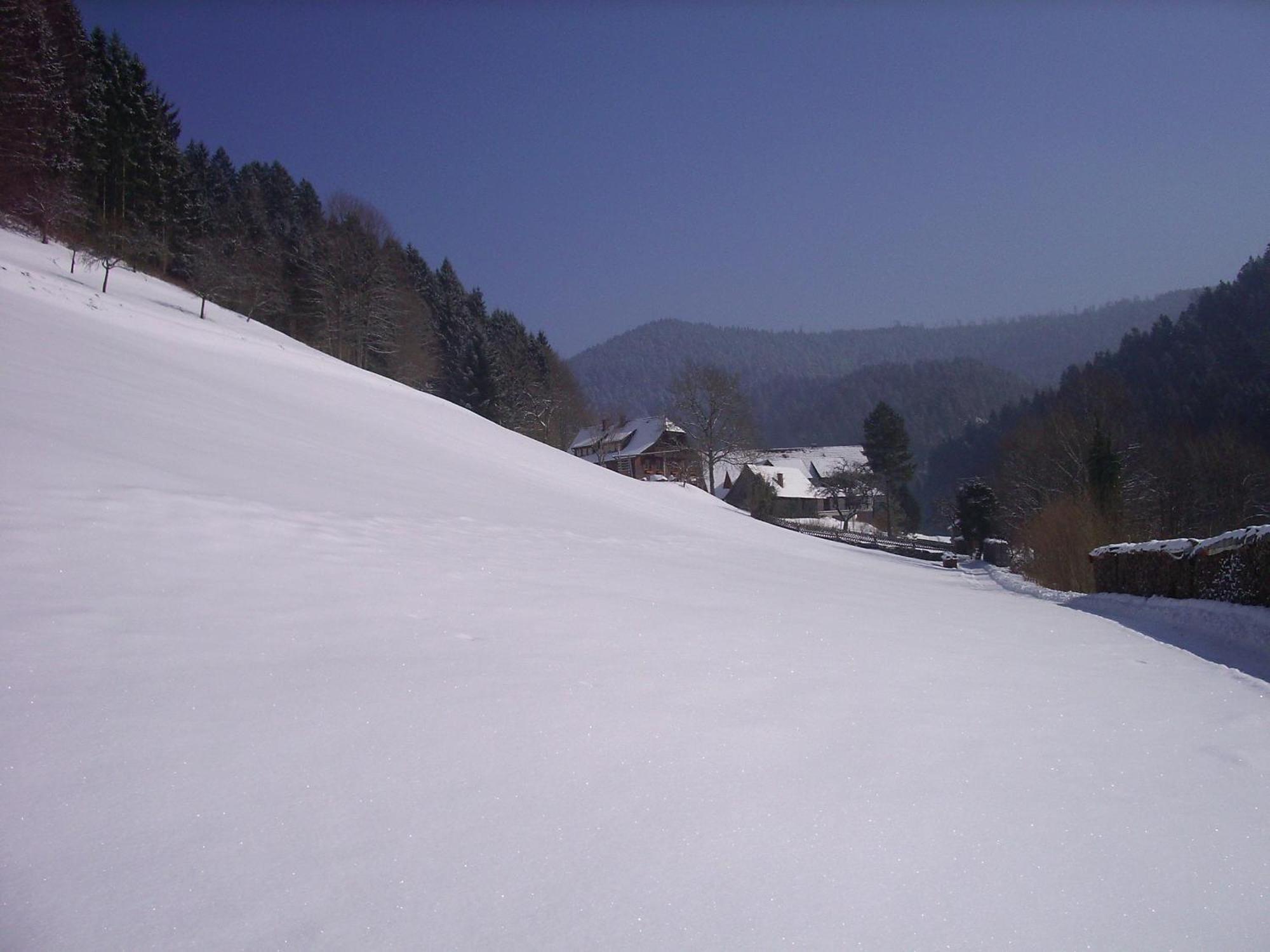 Ferienwohnungen Vogt'S Libding Bad Rippoldsau-Schapbach Экстерьер фото