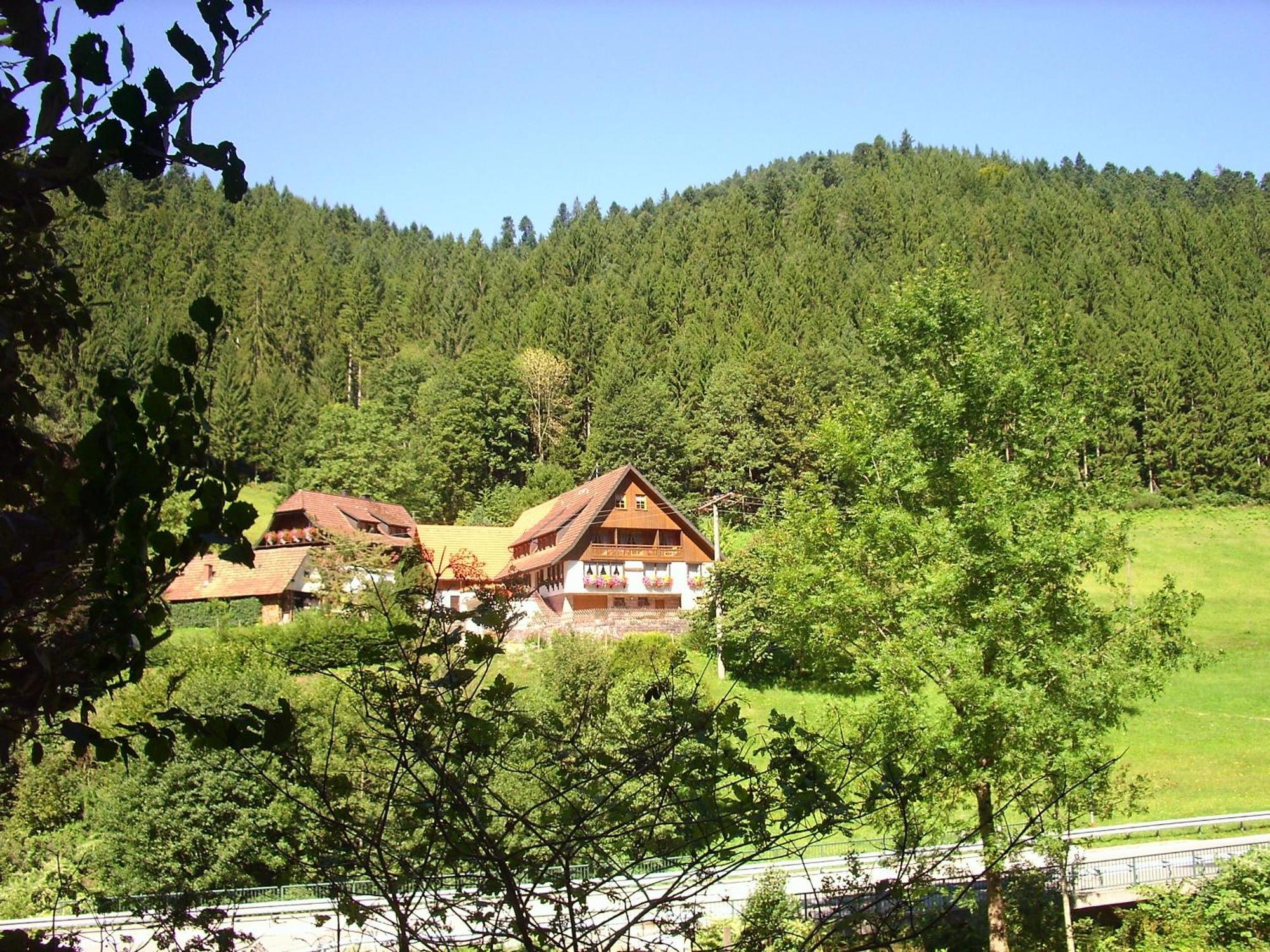 Ferienwohnungen Vogt'S Libding Bad Rippoldsau-Schapbach Экстерьер фото
