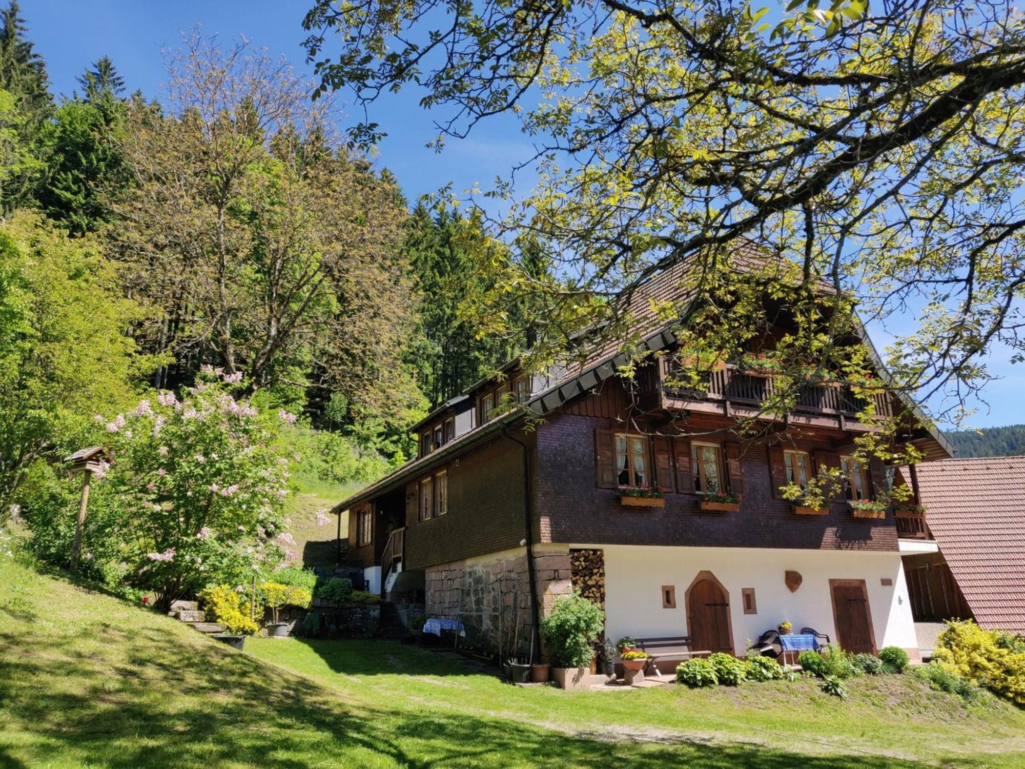 Ferienwohnungen Vogt'S Libding Bad Rippoldsau-Schapbach Экстерьер фото