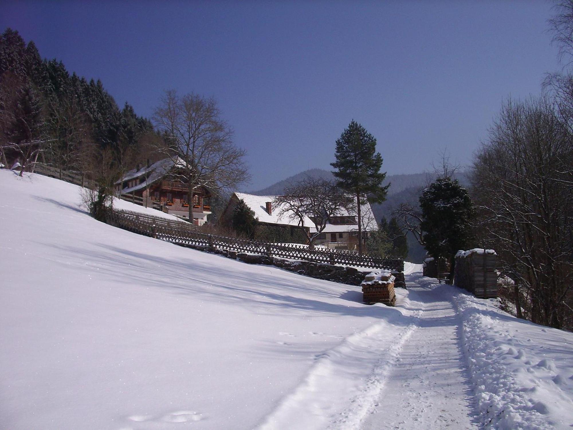 Ferienwohnungen Vogt'S Libding Bad Rippoldsau-Schapbach Экстерьер фото
