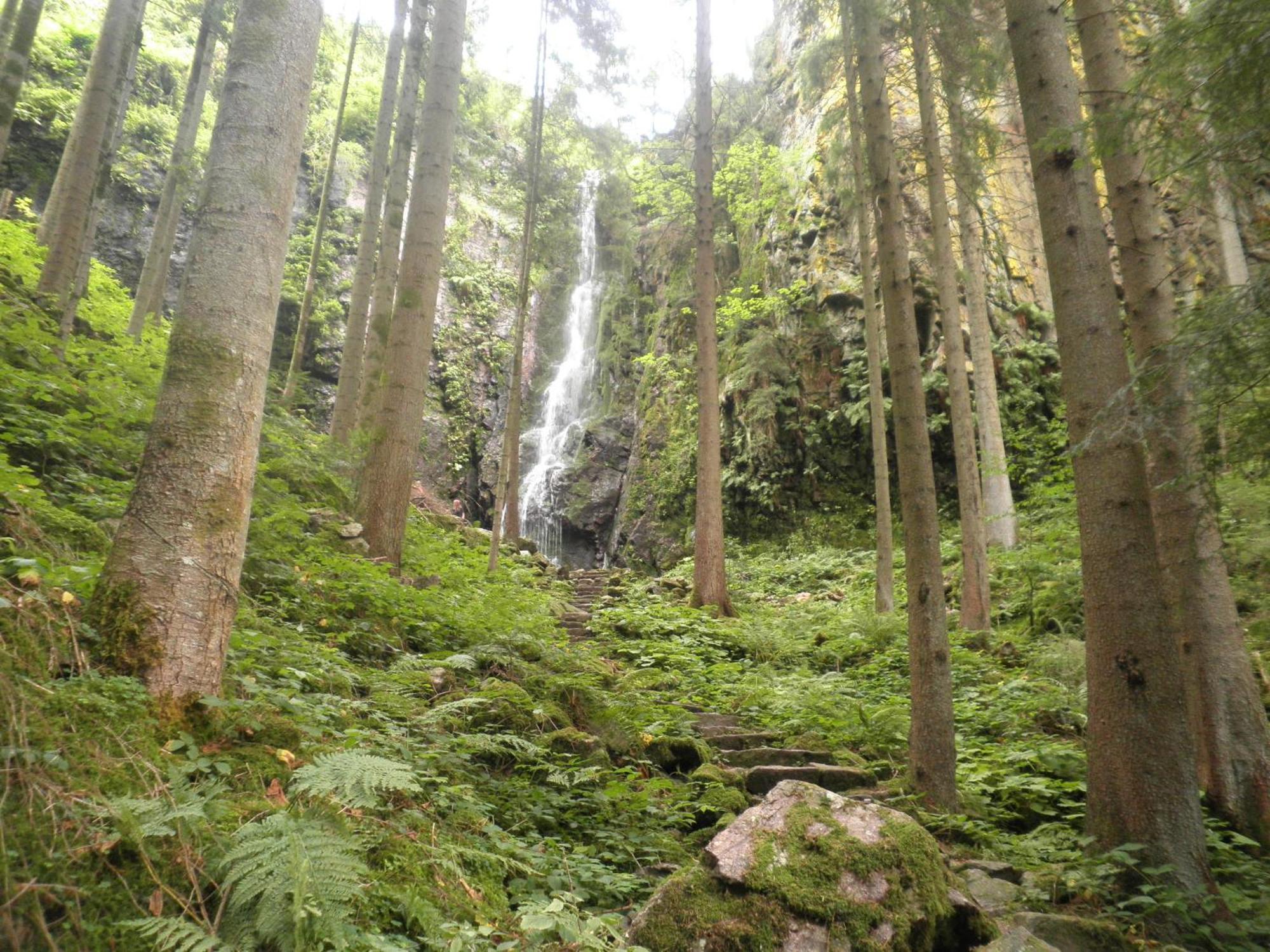 Ferienwohnungen Vogt'S Libding Bad Rippoldsau-Schapbach Экстерьер фото